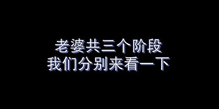 老头弹反崩溃boss概论——老婆篇截图