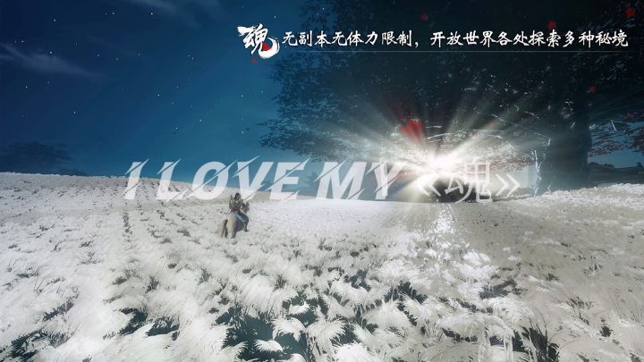 重生之下辈子还玩魂截图