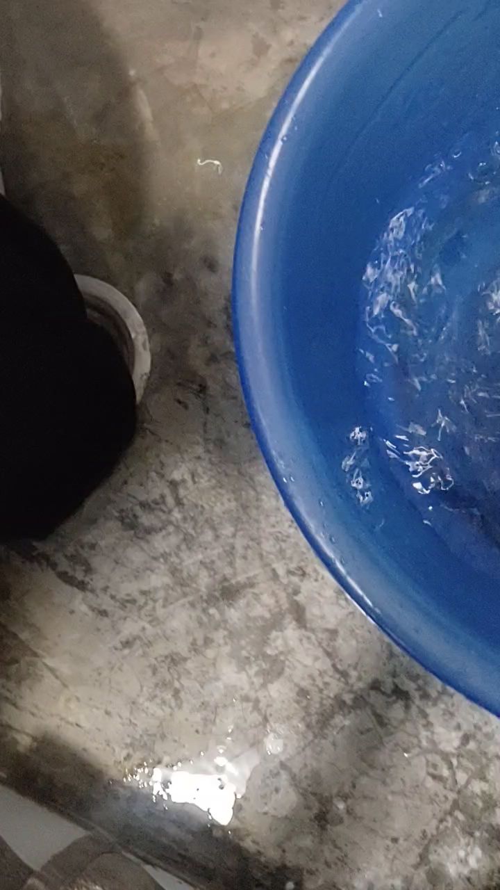 给霜星洗澡澡截图