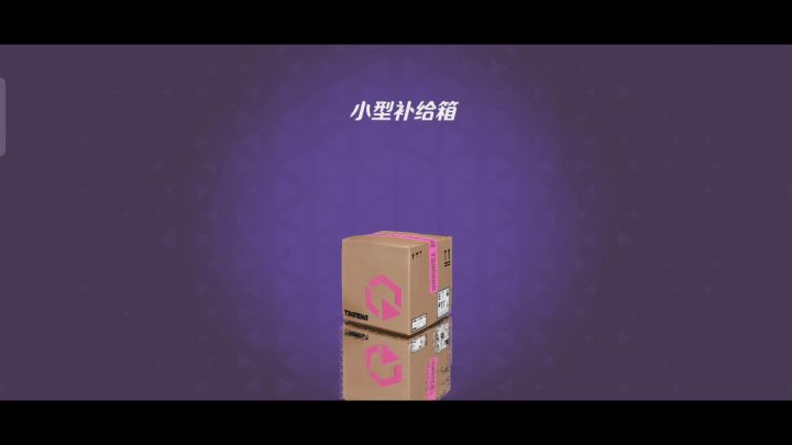 每一个箱子都可能有惊喜截图