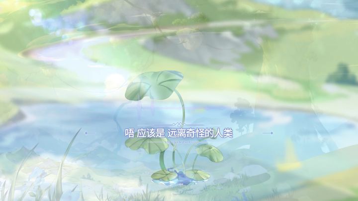 ✿花灵有话说✿睡莲:远离奇怪的人类(cv:宴宁)截图