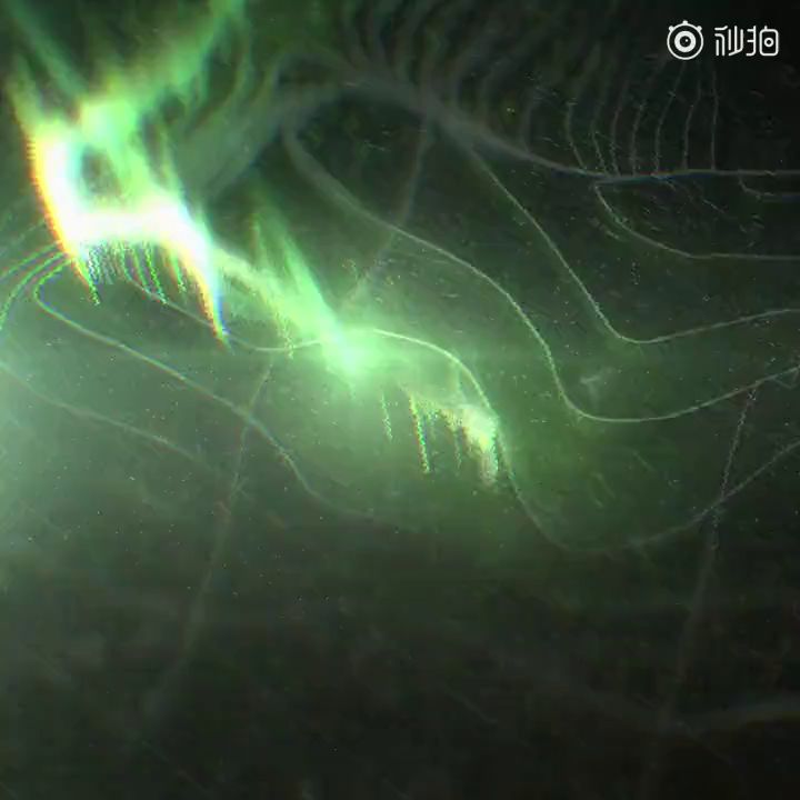 “欢迎加入141特遣队”《使命召唤:现代战争2》公布先导预告截图