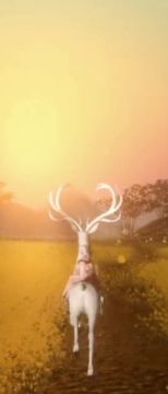 虽然技术不怎么样，但是！毕竟第一次剪，还是要发出来看看✌︎( ᐛ )✌︎