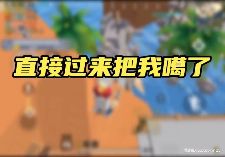 大家快去试试吧截图