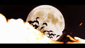 【月影别墅】艾尔线剧情PV·斗兽场的再会（已开奖）