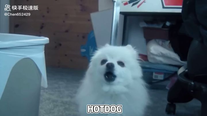 来听番外dog之声截图