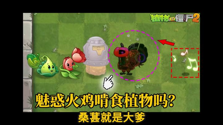 Pvz2流言终结者 魅惑的火鸡会啃食己方植物吗?截图