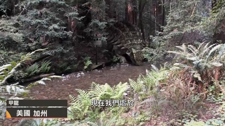 电影《侏罗纪世界3》「恐龙追踪者」宣传视频截图