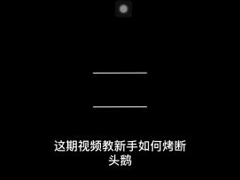 【烤断头鹅&万圣节烤火鸡】希望之村大鹅，没头还能跑，小刀看了都说好