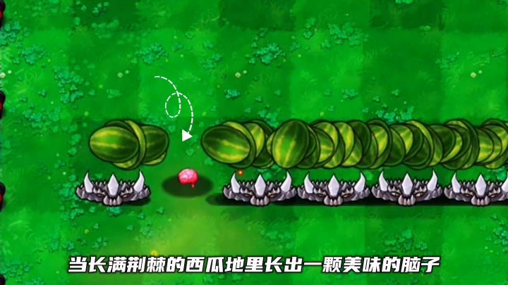 植物大战僵尸截图