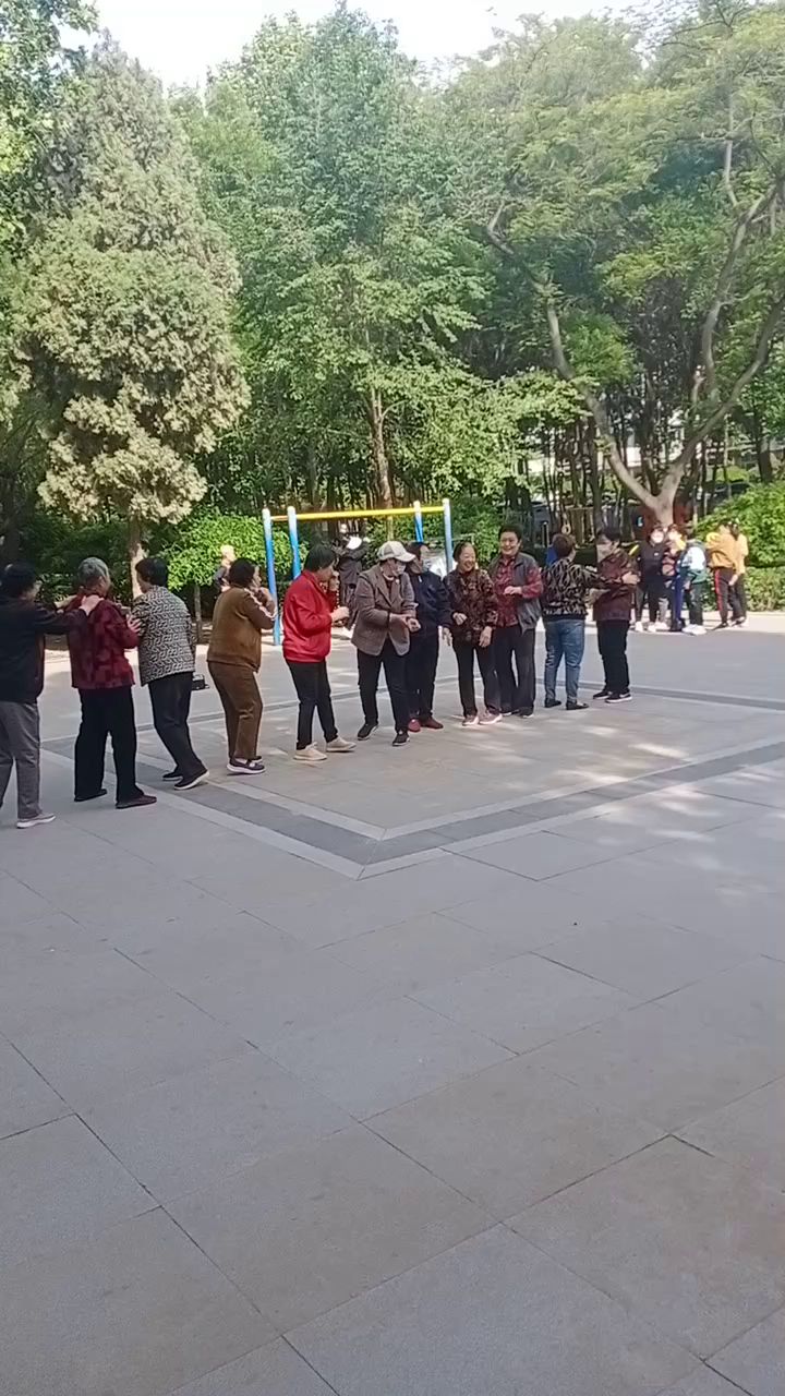 想象一下广场大妈和大爷开黑的画面截图
