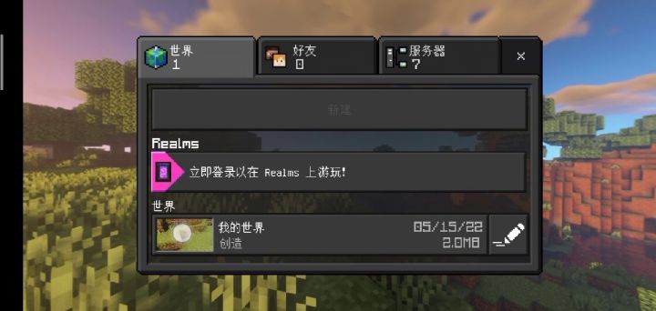 国际服的高配光影,网易做不到系列截图