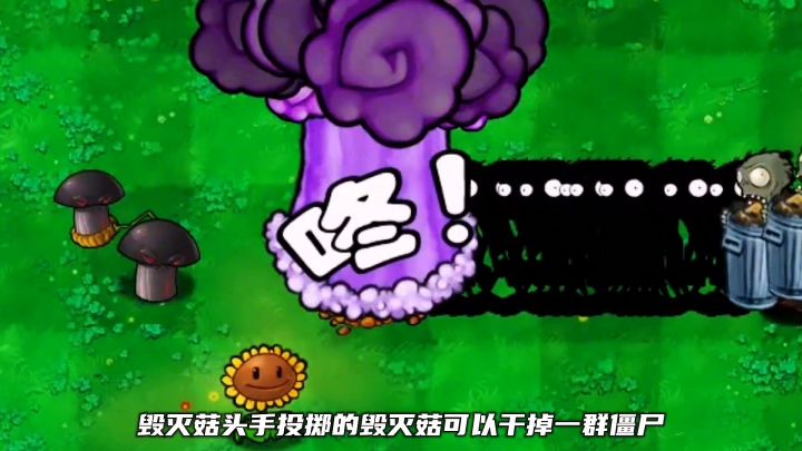 植物大战僵尸截图