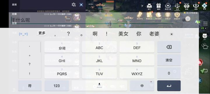牛逼的龙图人员来看看你们的聊天系统!截图