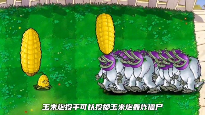 植物大战僵尸截图