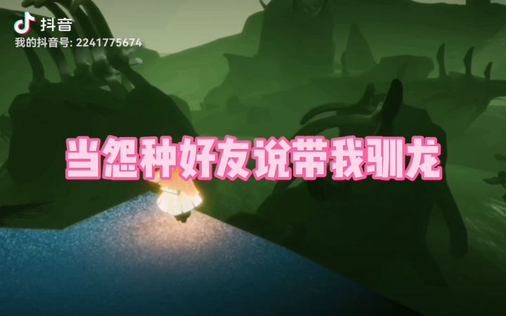 当我的好友说她要展示驯龙截图
