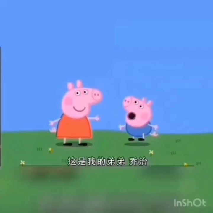 重新发一遍吧😑截图