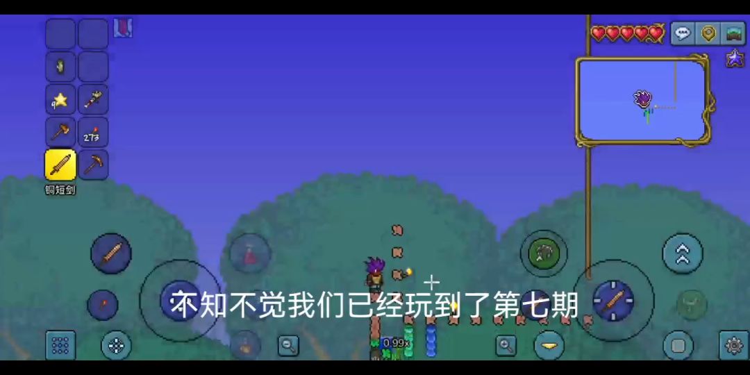 video-2646945