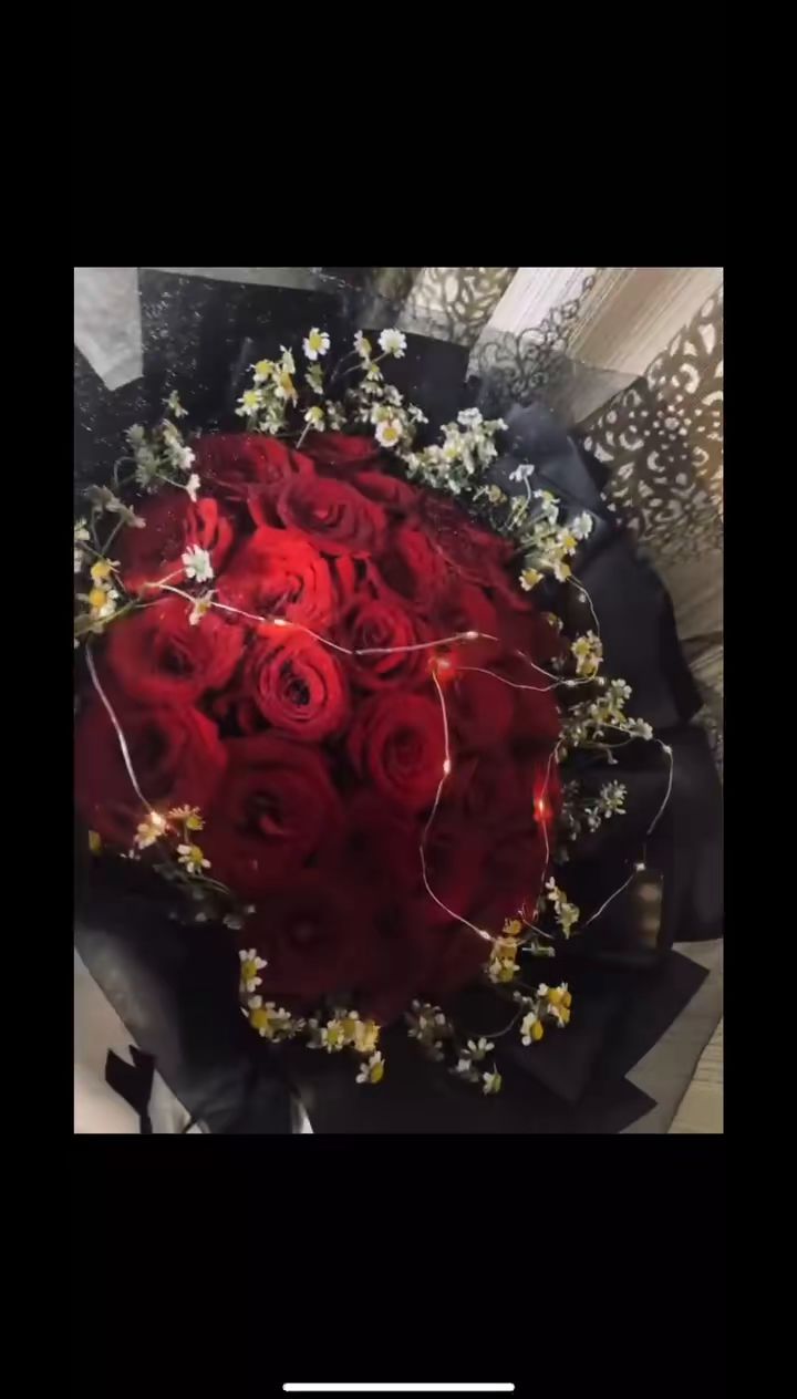 video-2650869