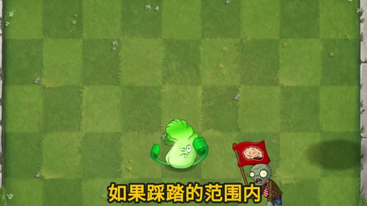 Pvz2植物测评 胆小荆棘不胆小!截图