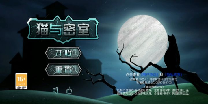 #攻略大师 猫与密室 记忆截图