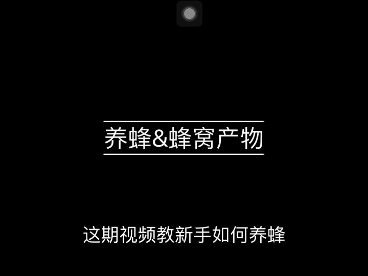 养蜂&蜂窝产物截图