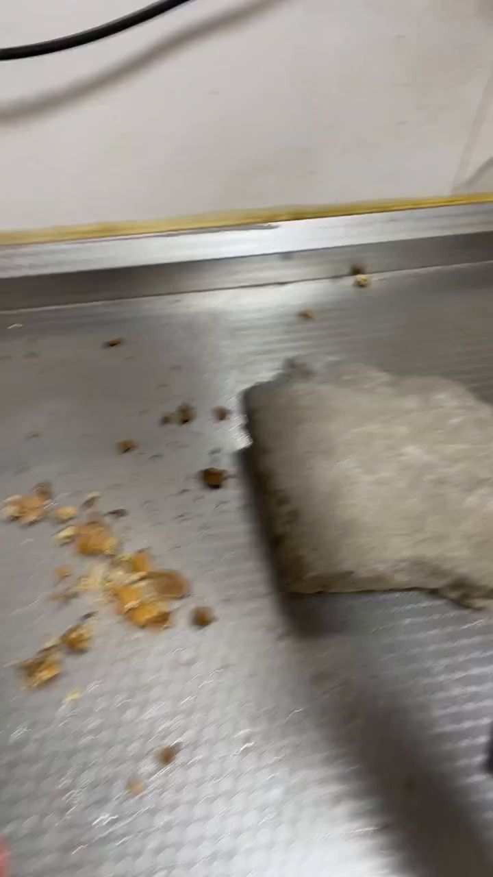 遇见你是我的服气截图