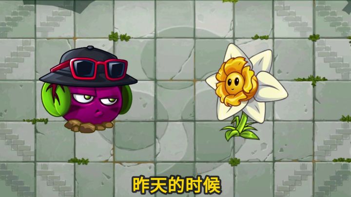 植物大战僵尸：魔甘失败不要慌，气流水仙花帮你忙！截图
