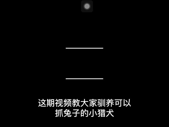 训狗后续|小猎犬&万能㹴&比特犬……截图