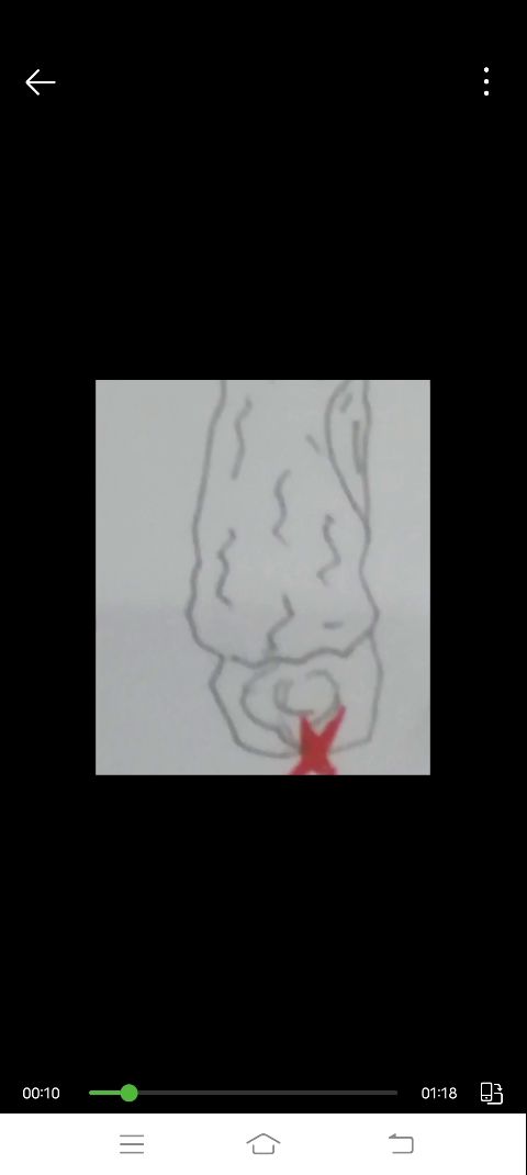 video-2703359