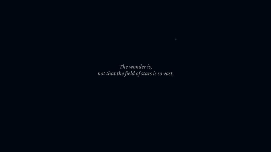 video-2704461