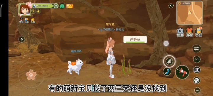 萌新寻找止风草截图