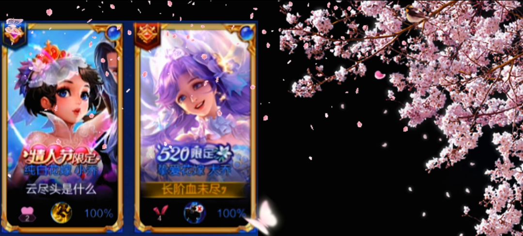 video-2708500