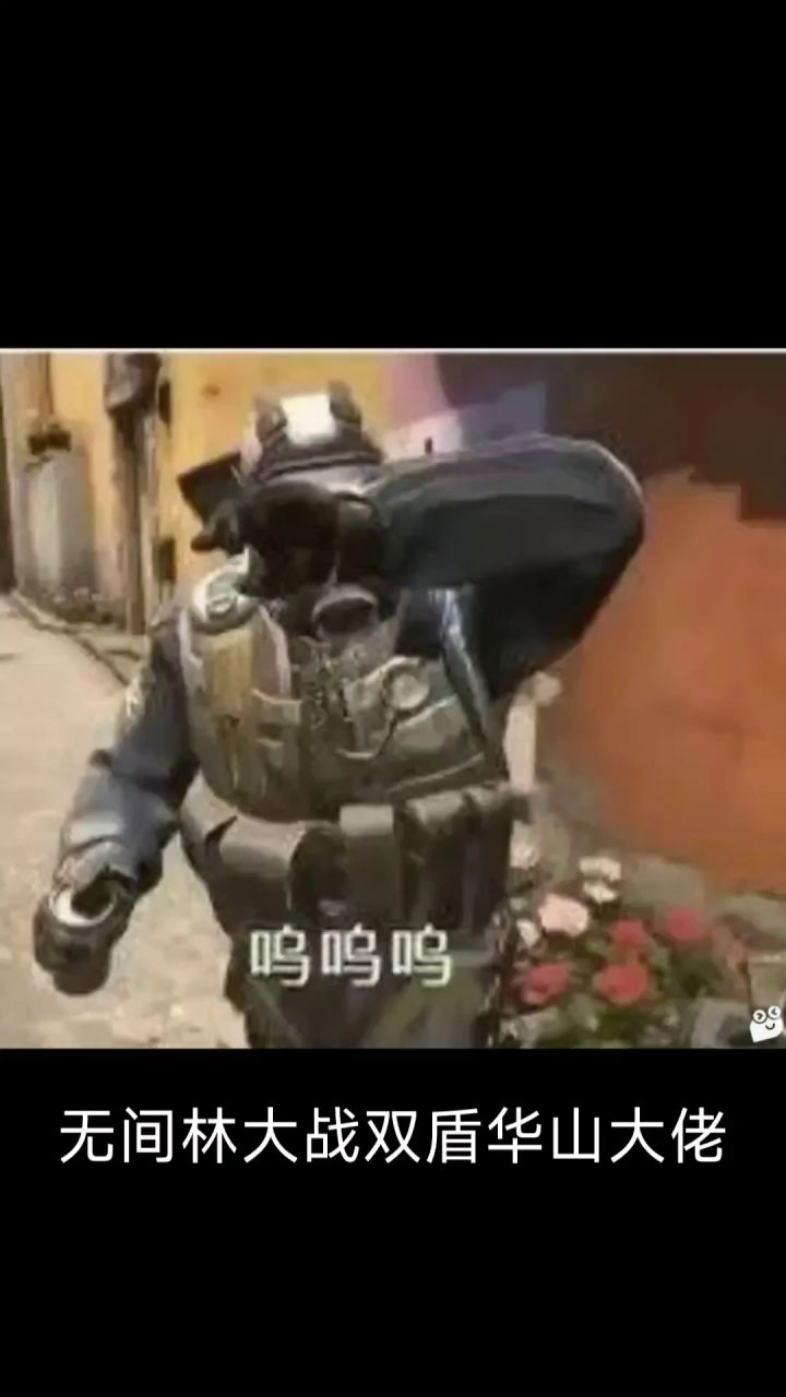 无间林大战双盾华山截图