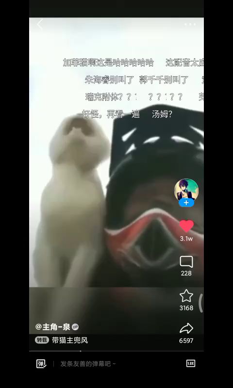 【猫和老鼠诚不欺我】机兵玩家晒自家的猫截图