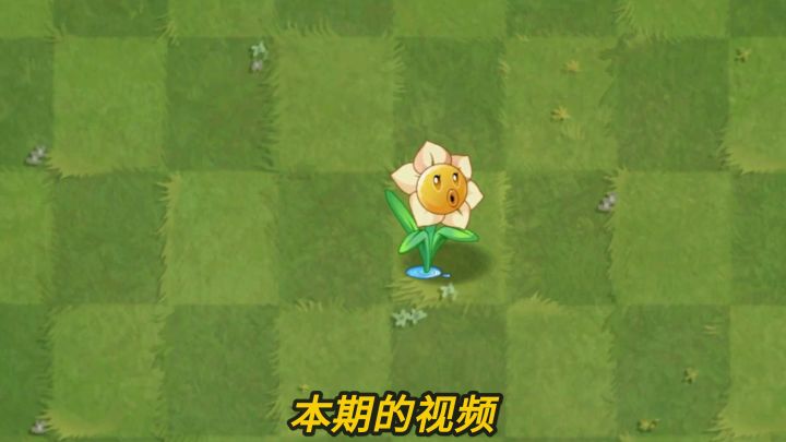 Pvz2植物测评，防具克星-水仙花射手！截图
