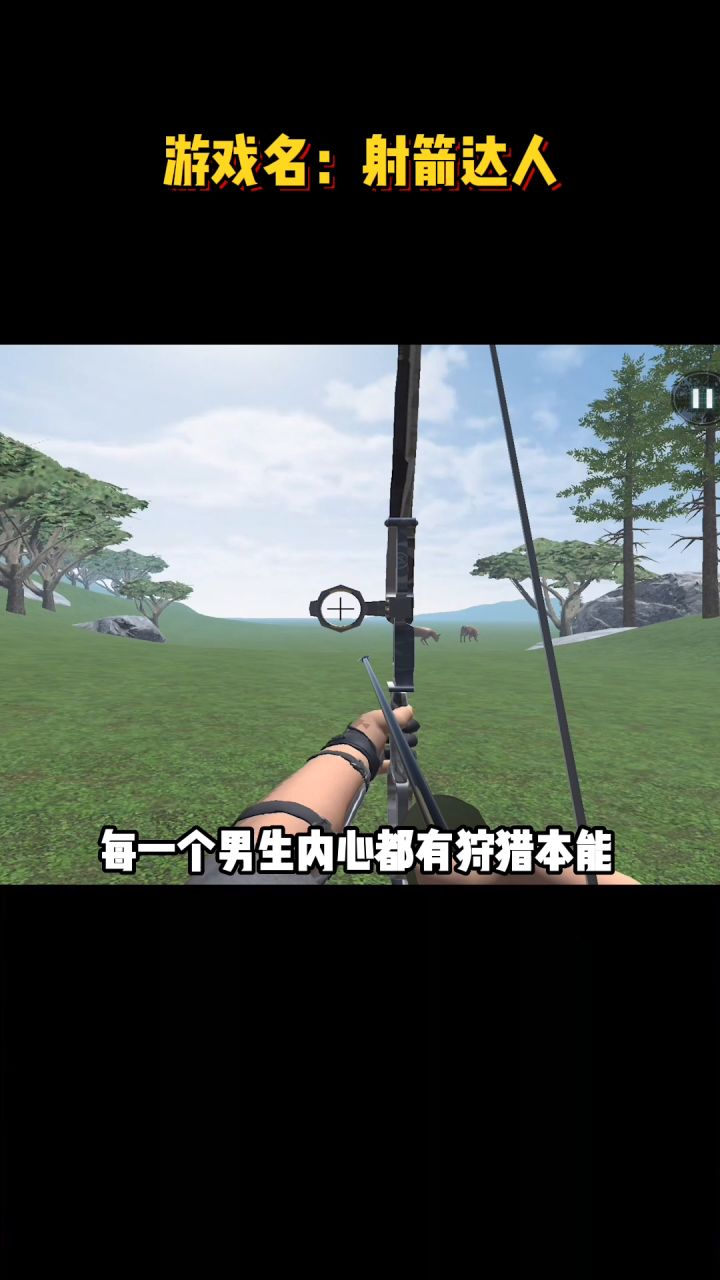 做个数据整机截图