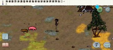 给萌新的一些杀熊技巧，大佬绕道。