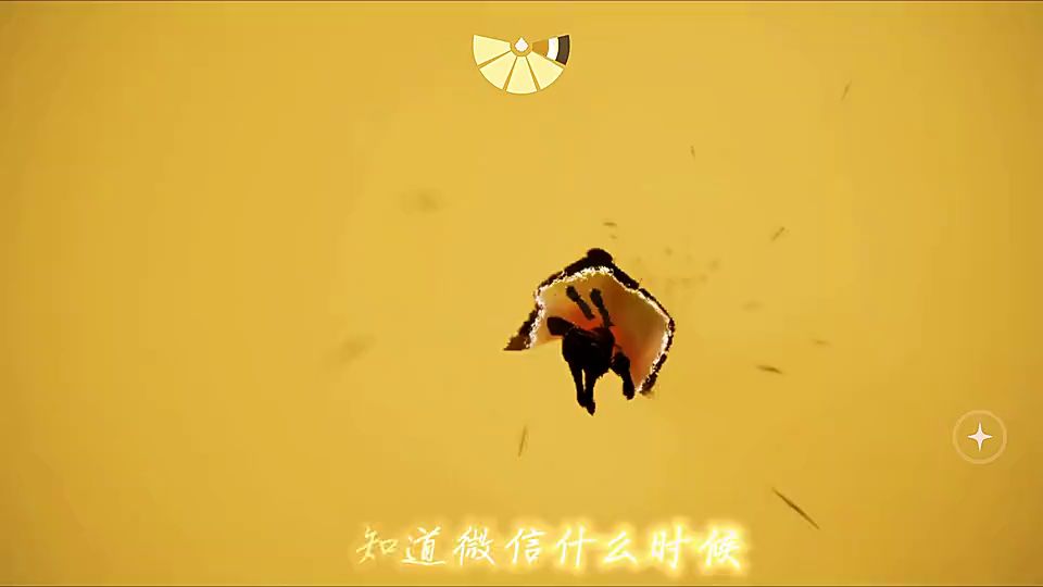 video-2741440