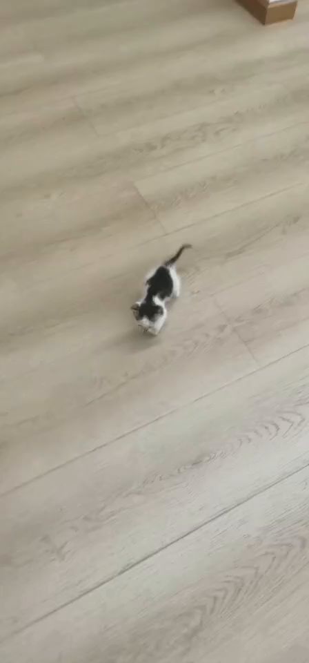 念念不忘，必有状况 2截图
