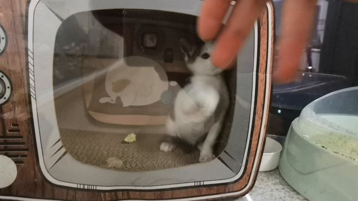 念念不忘,必有状况 3截图
