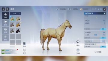 诺亚之心马匹培养及使用教学