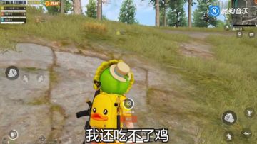 和平精英：全国统一的吃鸡队友，这情况太真实了！