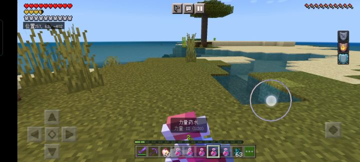 爆打遗迹守卫截图