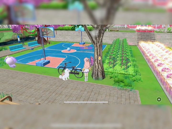 小森生活-篮球场🏀截图