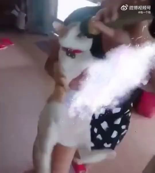 这种事真的不太好去问重庆人,毕竟这是在人家的地盘上......截图
