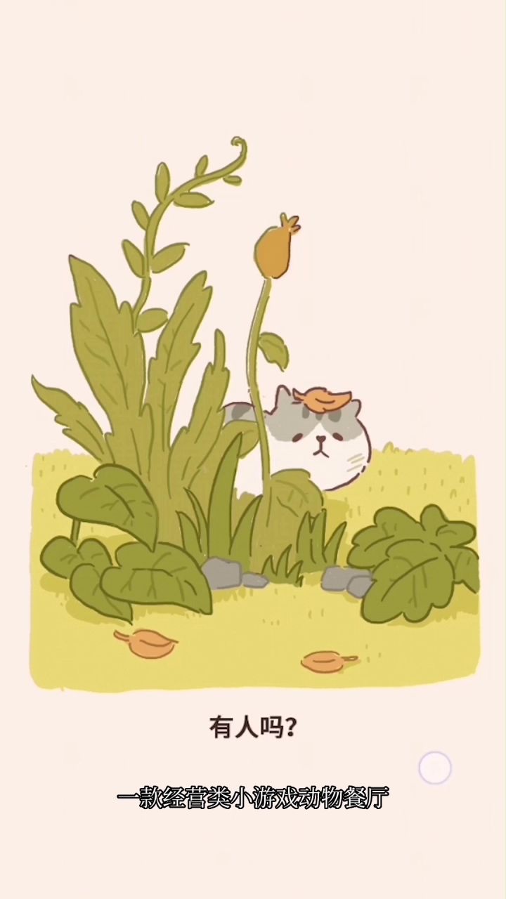 猫猫餐厅,连一百个小鱼干都不给我?!#萌宠在哪里#截图