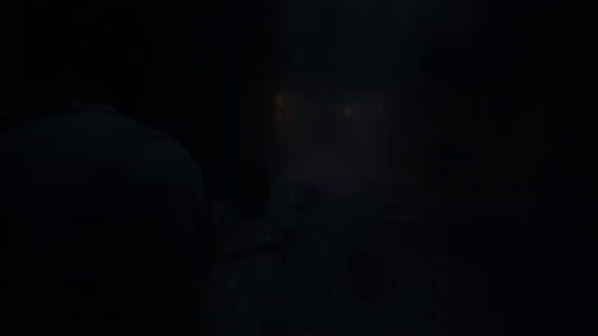 video-2771124