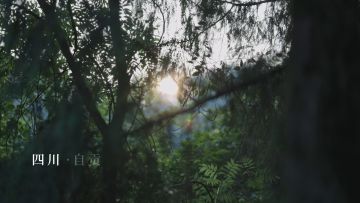 【逍遥公益】公益助学“青云计划”第一站落地四川自贡