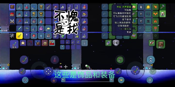 泰拉瑞亚人物赞德截图
